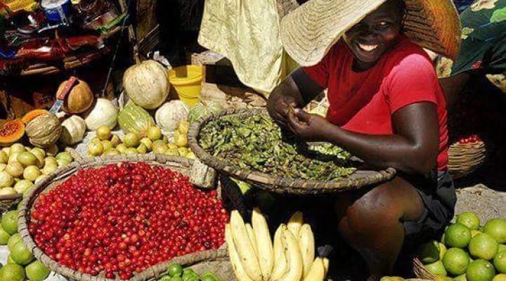 Haïti, la perle des Antilles