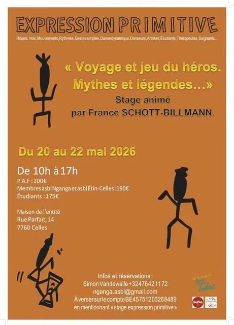 Affiche stage DRT